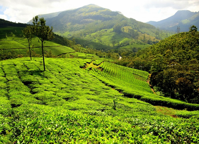 Kerala Most Popular Tour Package