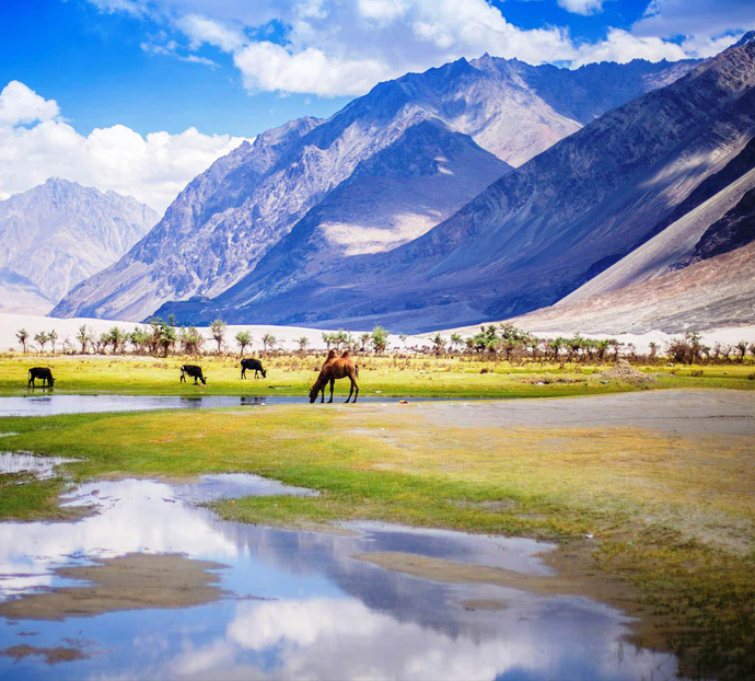 Lah Ladakh Holidays Packages